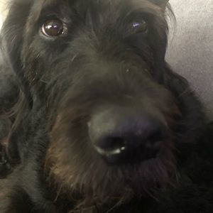 Meet your Posher, Dana